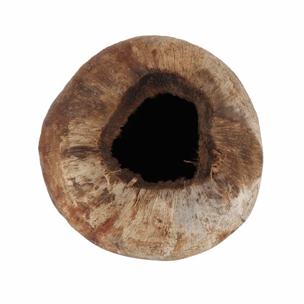 ProFlora® Kokoshöhle ganz- unverarbeitet- mit Husk