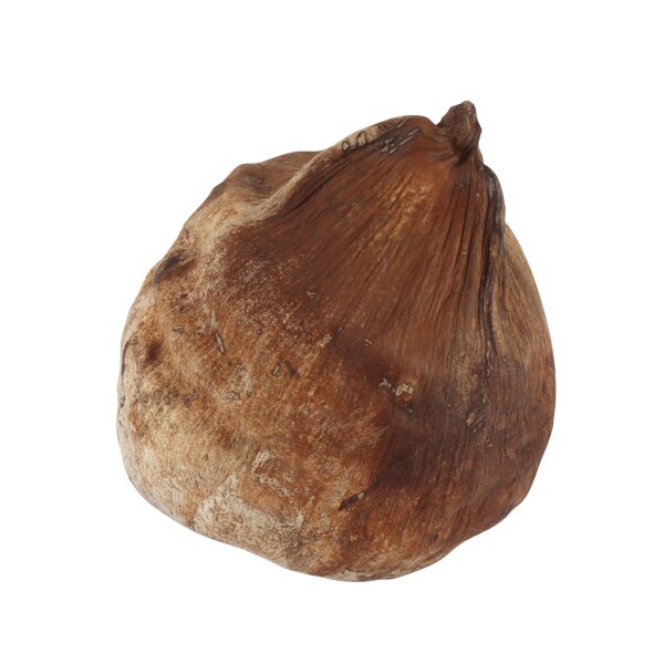 ProFlora® Kokoshöhle ganz- unverarbeitet- mit Husk