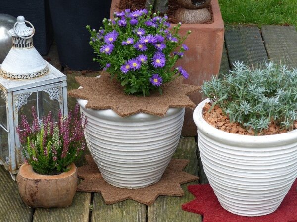 ProFlora® Kokosfaser Mulchscheibe Topfabdeckung/Untersetzer