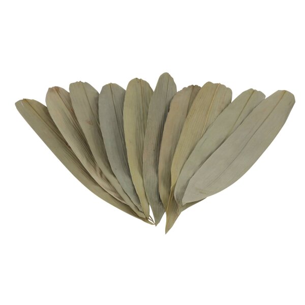 ProFlora® Bambus Blätter für Aquarien ca. 25 - 30cm Länge