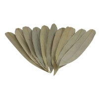 ProFlora® Bambus Blätter für Aquarien ca....