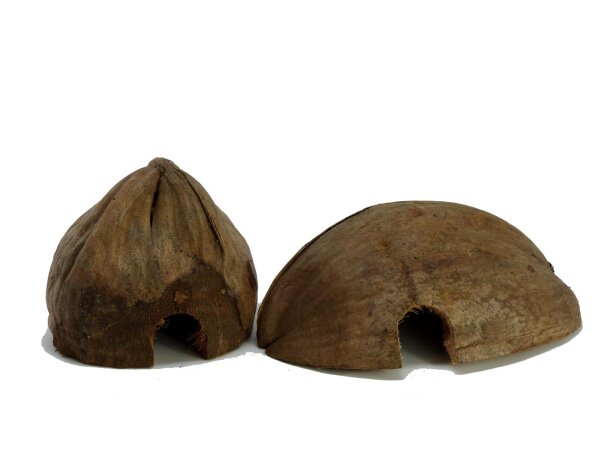 ProFlora® Kokoshöhle Versteck für kleine Nager Schlagen Insekten Spinnen - mit Eingang