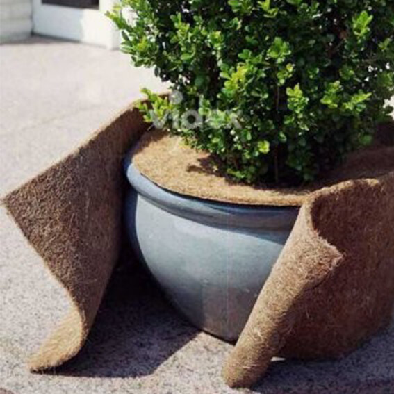 ProFlora® Kokosfaser Matte 150cm x 50cm Winterschutz für Pflanzen