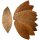 ProFlora® Cacao Blätter für das Aquarium oder Terrarium