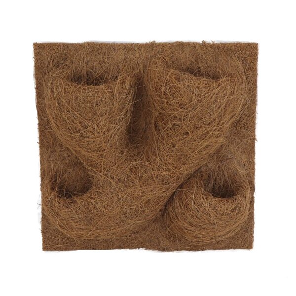 ProFlora® Kokosfaser Rückwand grün 50cm x 50cm 1 Stück