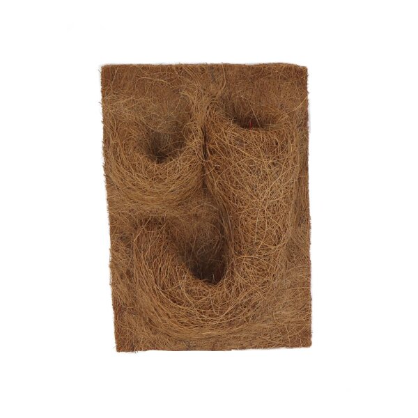 ProFlora® Kokosfaser Rückwand grün 50cm x 50cm 1 Stück