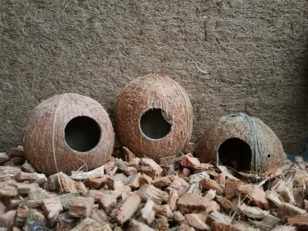 ProFlora® Kokoshöhle unbrushed 3/4 M ca. 10-12cm