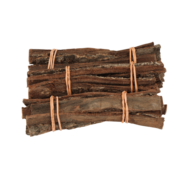 ProFlora® Terminalia Catappa Seemandelbaum-Rinde L ca. 9,5cm - 10cm Länge 10 Stück/Bündel