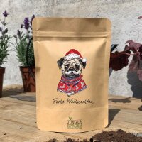 Frohe Weihnachten Hund (Rasensamen)
