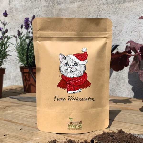 Frohe Weihnachten Katze (Katzengras)