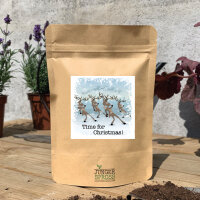 Time for Christmas (Gartenkresse)