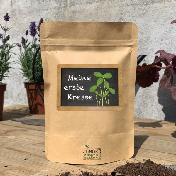 Meine erste Kresse (Gartenkresse)