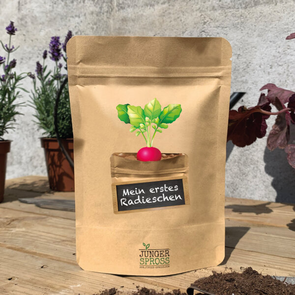 Mein erstes Radieschen (Radieschen)