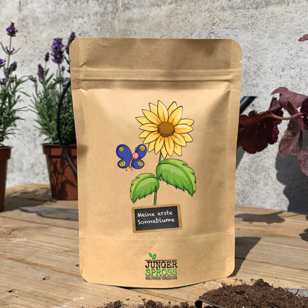 Meine erste Sonnenblume (Sonnenblume)