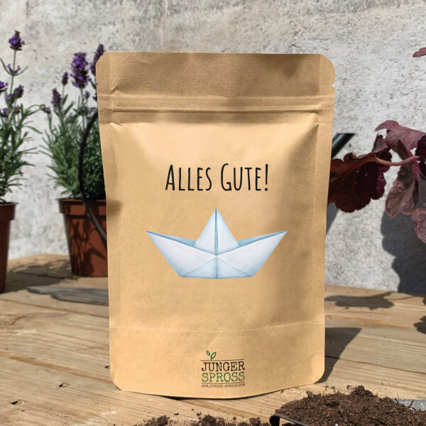 Alles Gute Schiffchen (Sonnenblume)