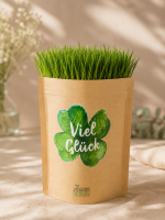 Viel Gl&uuml;ck gro&szlig;es Kleblatt (Rasensamen)
