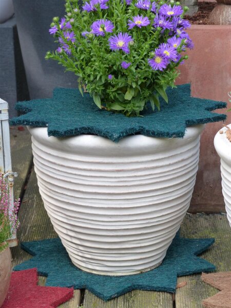 ProFlora® Kokosfaser Mulchscheibe Topfabdeckung Stern Ø 37cm grün 1 Stück