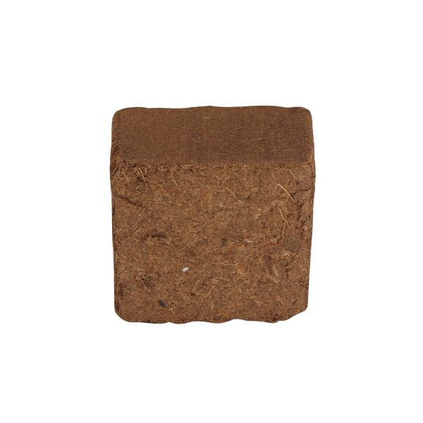 ProFlora® Kokosfaser Ziegel 10cm x 10cm x 5cm 300g ergibt je ca. 4 Liter 5 Stück