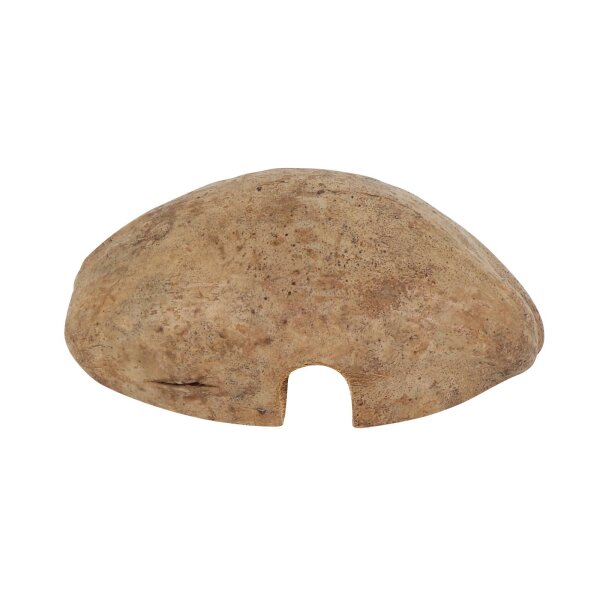 ProFlora® Kokoshöhle 2er-Set Versteck für kleine Nager Insekten Spinnen 1 x längs & 1 x quer halbiert